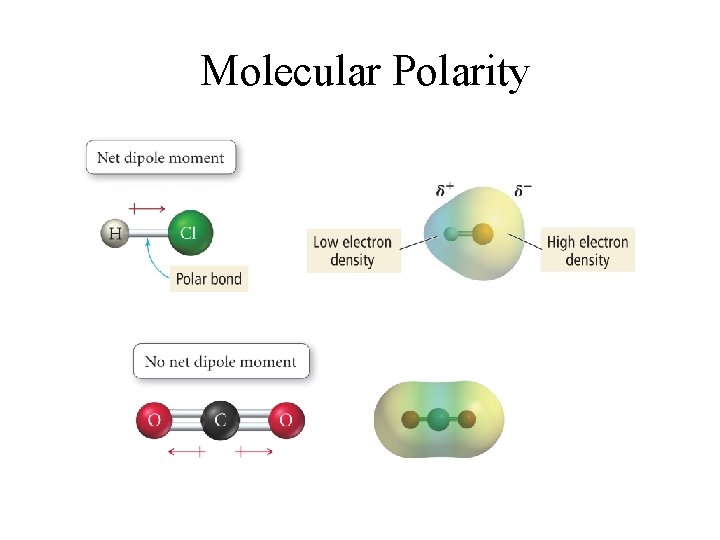 Molecular Polarity Molecular Polarity