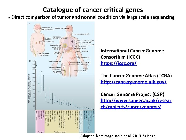 Catalogue of cancer critical genes n Direct comparison of tumor and normal condition via