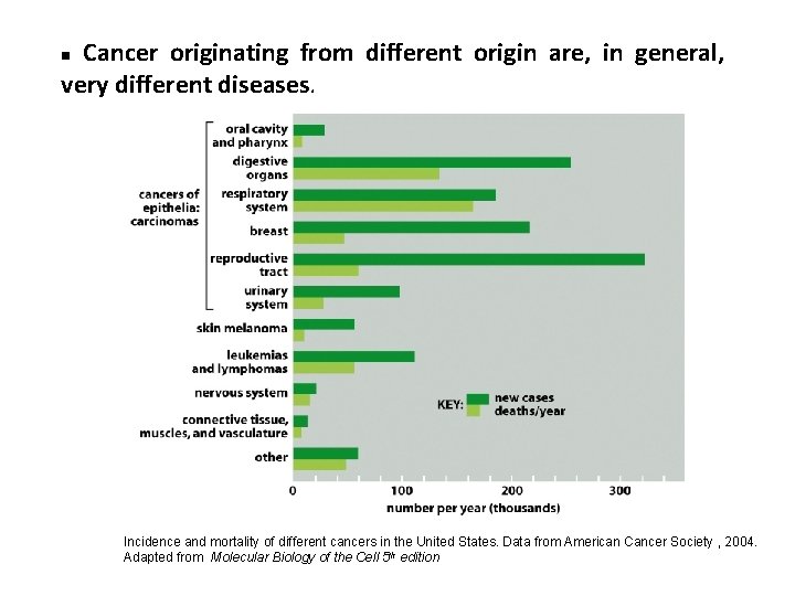  Cancer originating from different origin are, in general, very different diseases. n Incidence