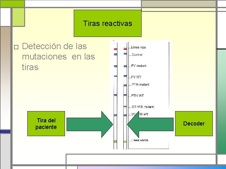 Tiras reactivas □ Detección de las mutaciones en las tiras Tira del paciente Decoder