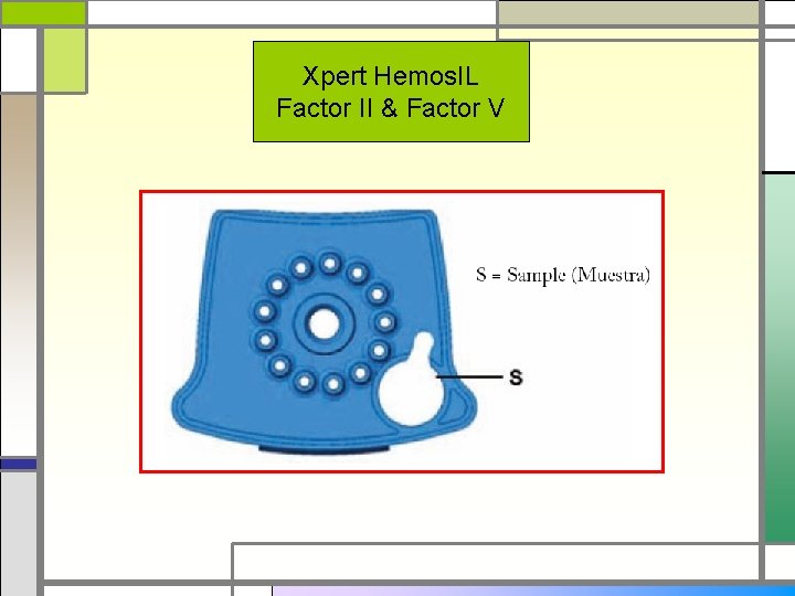 Xpert Hemos. IL Factor II & Factor V 