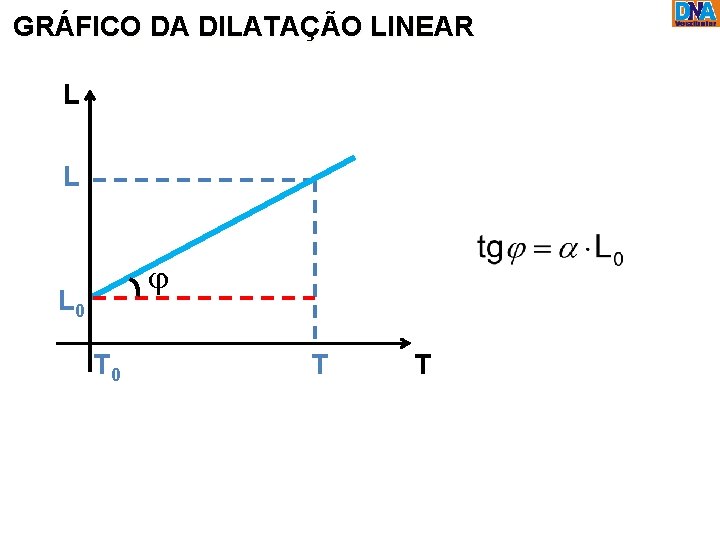 GRÁFICO DA DILATAÇÃO LINEAR L L j L 0 T T 