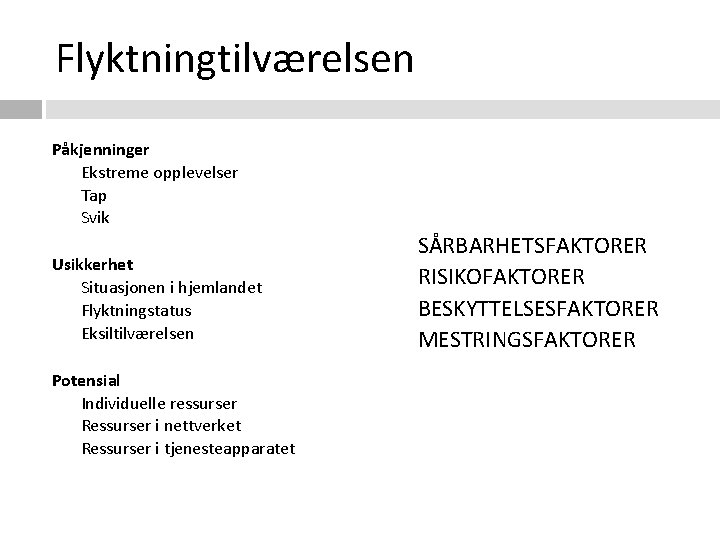 Flyktningtilværelsen Påkjenninger Ekstreme opplevelser Tap Svik Usikkerhet Situasjonen i hjemlandet Flyktningstatus Eksiltilværelsen SÅRBARHETSFAKTORER RISIKOFAKTORER