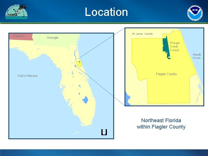 Location Alabama St. Johns County Georgia Pringle Creek Forest Atlantic Ocean Gulf of Mexico