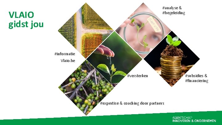 #analyse & #begeleiding VLAIO gidst jou #informatie Vlaio. be #versterken #expertise & coaching door