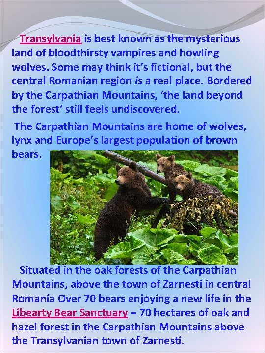 Transylvania is best known as the mysterious land of bloodthirsty vampires and howling Transylvania is best known as the mysterious land of bloodthirsty vampires and howling