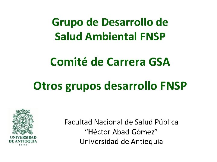 Grupo de Desarrollo de Salud Ambiental FNSP Comité de Carrera GSA Otros grupos desarrollo