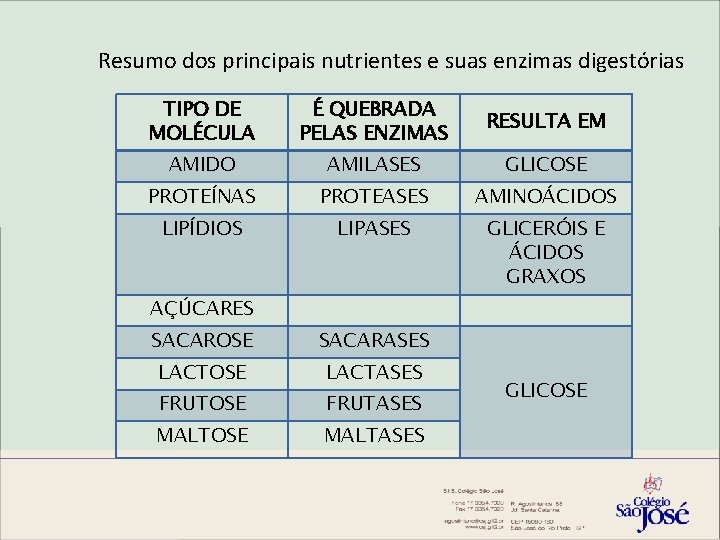 Resumo dos principais nutrientes e suas enzimas digestórias TIPO DE MOLÉCULA É QUEBRADA PELAS