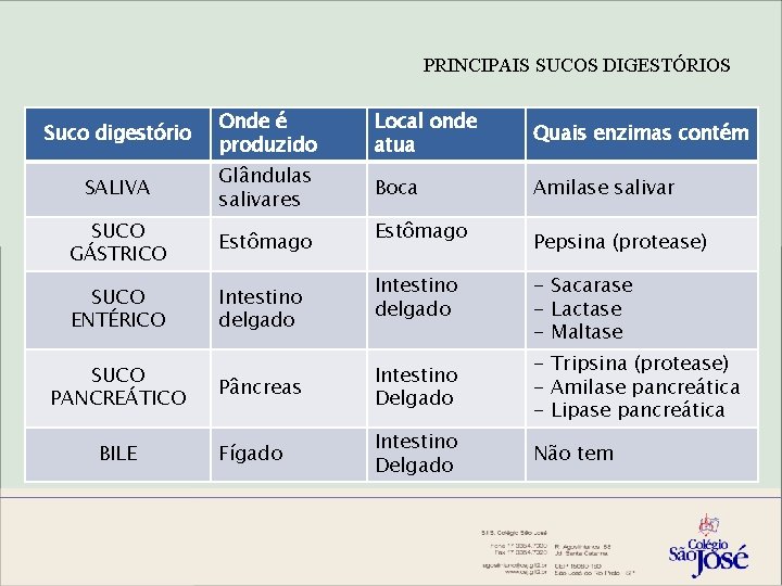 PRINCIPAIS SUCOS DIGESTÓRIOS Suco digestório Onde é produzido Local onde atua Quais enzimas contém