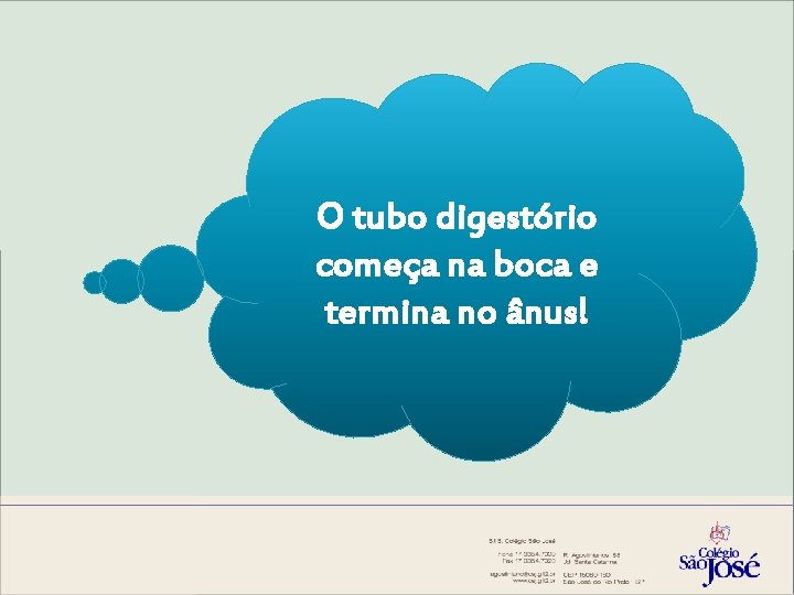 O tubo digestório começa na boca e termina no ânus! 