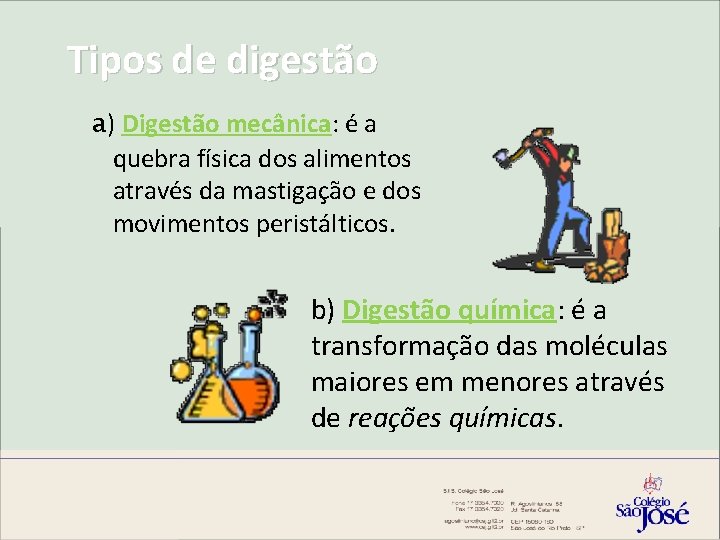 Tipos de digestão a) Digestão mecânica: é a quebra física dos alimentos através da