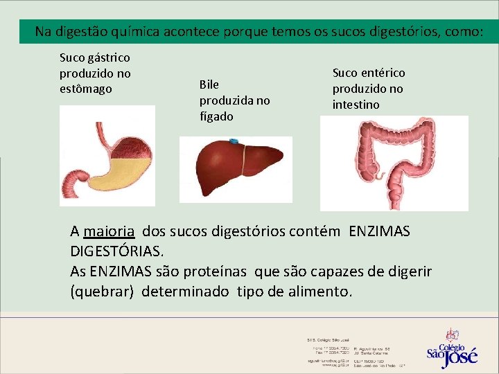 Na digestão química acontece porque temos os sucos digestórios, como: Suco gástrico produzido no