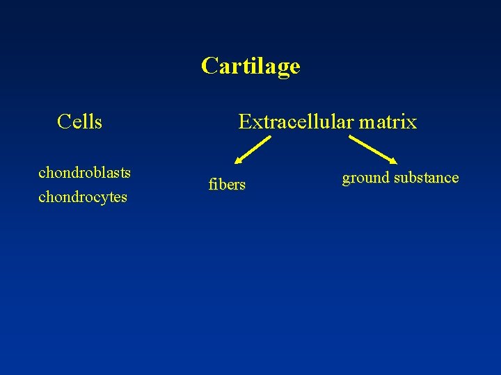 Cartilage Cells chondroblasts chondrocytes Extracellular matrix fibers ground substance 