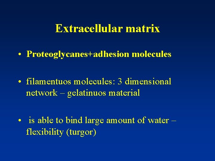 Extracellular matrix • Proteoglycanes+adhesion molecules • filamentuos molecules: 3 dimensional network – gelatinuos material