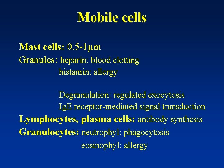 Mobile cells Mast cells: 0. 5 -1µm Granules: heparin: blood clotting histamin: allergy Degranulation: