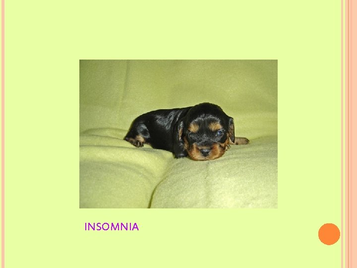 INSOMNIA 