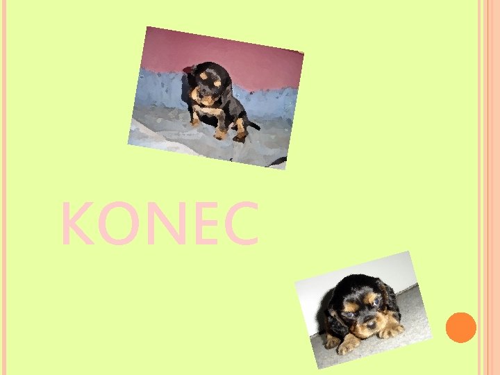  KONEC 