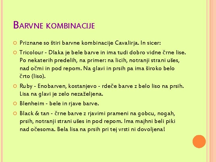 BARVNE KOMBINACIJE Priznane so štiri barvne kombinacije Cavalirja. In sicer: Tricolour - Dlaka je