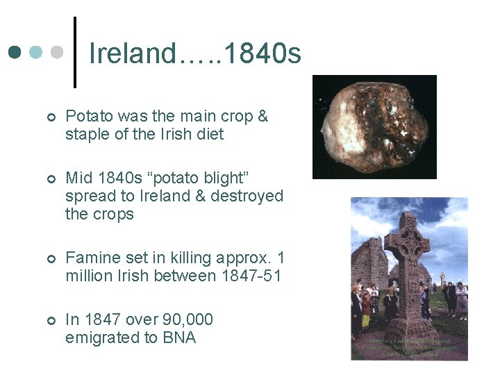 Ireland…. . 1840 s ¢ Potato was the main crop & staple of the