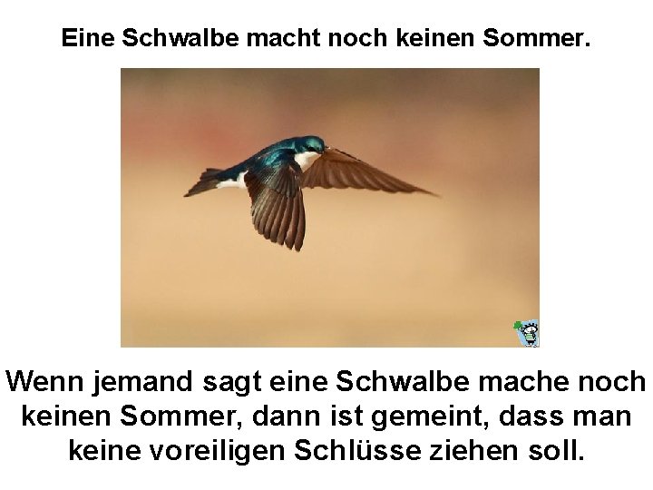 Eine Schwalbe macht noch keinen Sommer. Wenn jemand sagt eine Schwalbe mache noch keinen