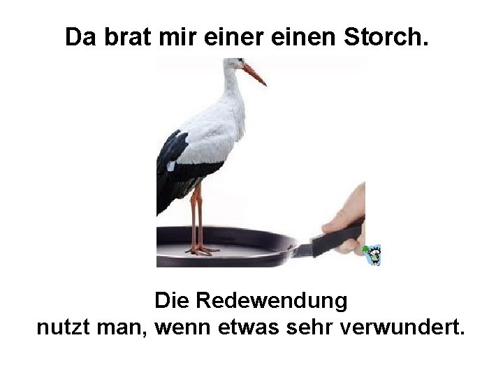 Da brat mir einen Storch. Die Redewendung nutzt man, wenn etwas sehr verwundert. 