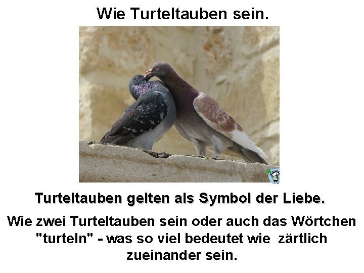 Wie Turteltauben sein. Turteltauben gelten als Symbol der Liebe. Wie zwei Turteltauben sein oder