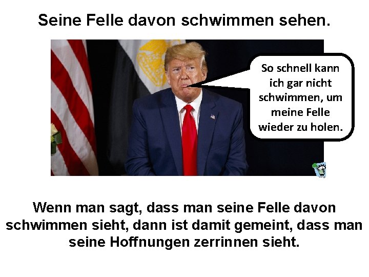 Seine Felle davon schwimmen sehen. So schnell kann ich gar nicht schwimmen, um meine Seine Felle davon schwimmen sehen. So schnell kann ich gar nicht schwimmen, um meine