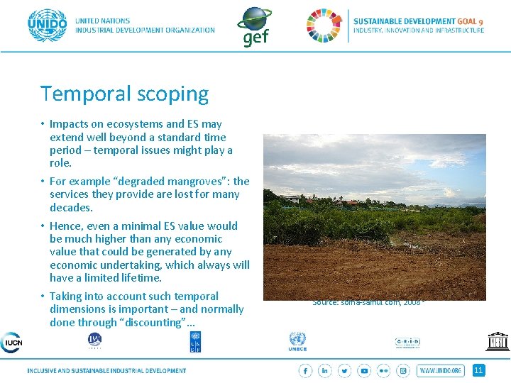 Temporal scoping • Impacts on ecosystems and ES may extend well beyond a standard