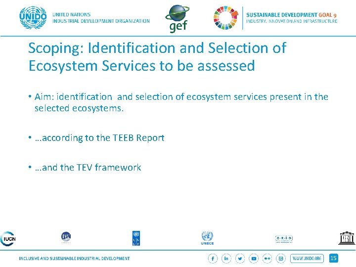 Scoping: Identification and Selection of Ecosystem Services to be assessed • Aim: identification and