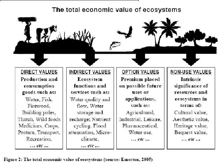 Scoping: Identification and Selection of Ecosystem Services to be assessed • Aim: identification and