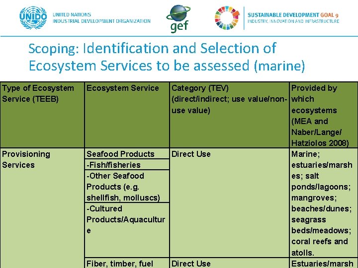 Scoping: Identification and Selection of Ecosystem Services to be assessed (marine) Type of Ecosystem