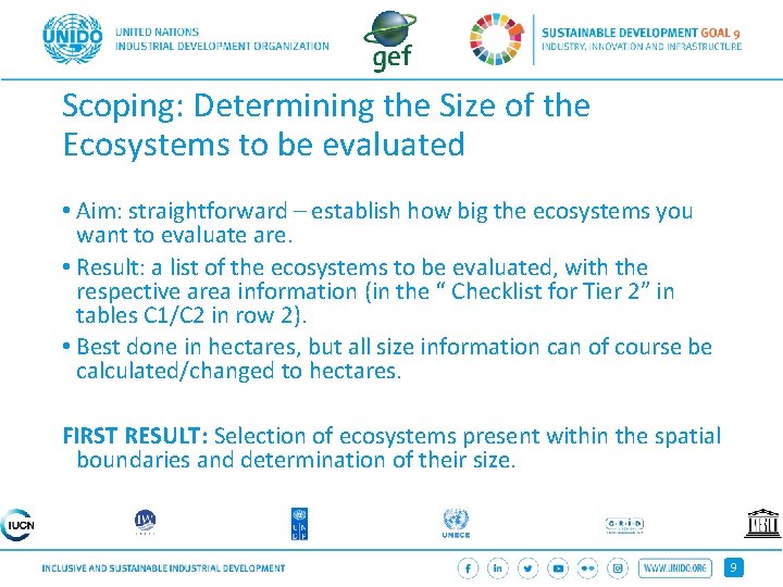 Scoping: Determining the Size of the Ecosystems to be evaluated • Aim: straightforward –