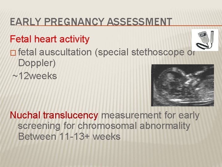 EARLY PREGNANCY ASSESSMENT Fetal heart activity � fetal auscultation (special stethoscope or Doppler) ~12