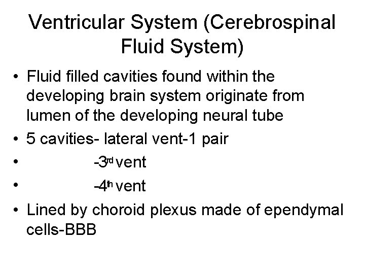 Ventricular System (Cerebrospinal Fluid System) • Fluid filled cavities found within the developing brain