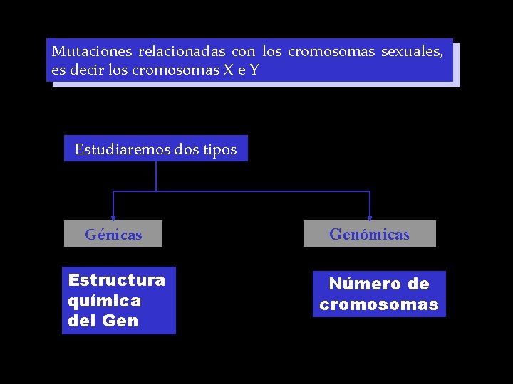 Mutaciones relacionadas con los cromosomas sexuales, es decir los cromosomas X e Y Estudiaremos