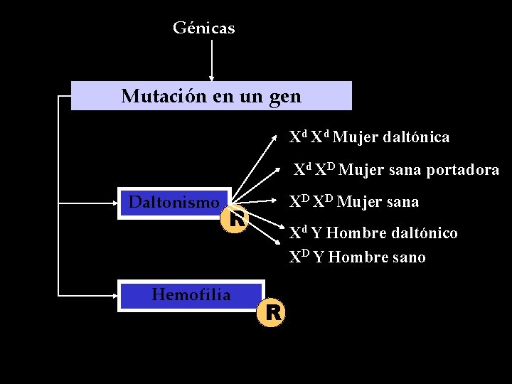 Génicas Mutación en un gen Xd Xd Mujer daltónica Xd XD Mujer sana portadora