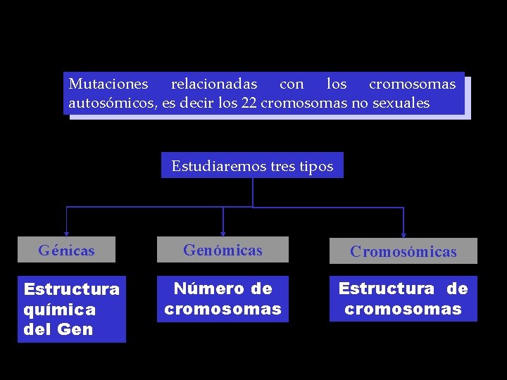 Mutaciones relacionadas con los cromosomas autosómicos, es decir los 22 cromosomas no sexuales Estudiaremos
