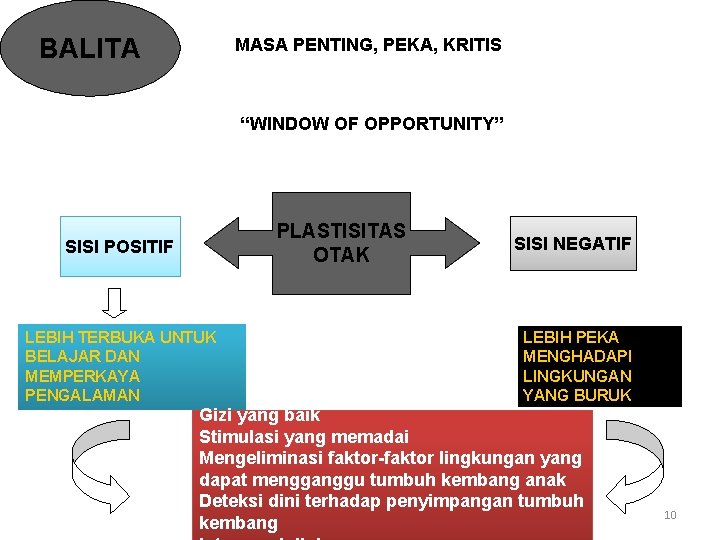 BALITA MASA PENTING, PEKA, KRITIS “WINDOW OF OPPORTUNITY” PLASTISITAS OTAK SISI POSITIF LEBIH TERBUKA