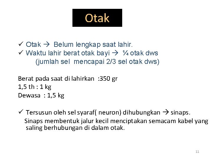 Otak ü Otak Belum lengkap saat lahir. ü Waktu lahir berat otak bayi ¼