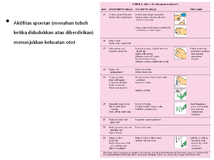  • Aktifitas spontan (menahan tubuh ketika didudukkan atau diberdirikan) menunjukkan kekuatan otot 