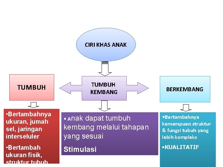 CIRI KHAS ANAK TUMBUH KEMBANG TUMBUH • Bertambahnya ukuran, jumah sel, jaringan interseluler •