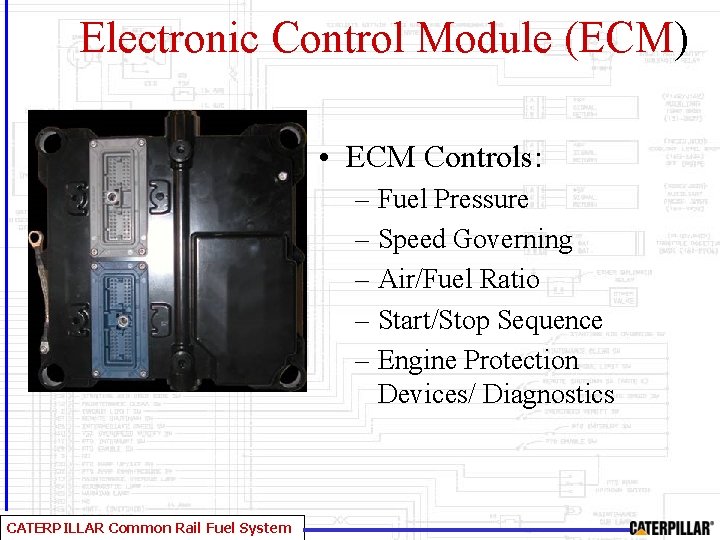Electronic Control Module (ECM) • ECM Controls: – Fuel Pressure – Speed Governing –