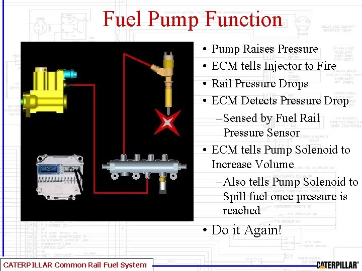 Fuel Pump Function • • Pump Raises Pressure ECM tells Injector to Fire Rail