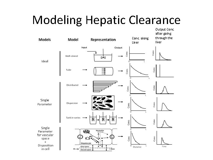 Modeling Hepatic Clearance Conc. along Liver Output Conc. after going through the liver Modeling Hepatic Clearance Conc. along Liver Output Conc. after going through the liver