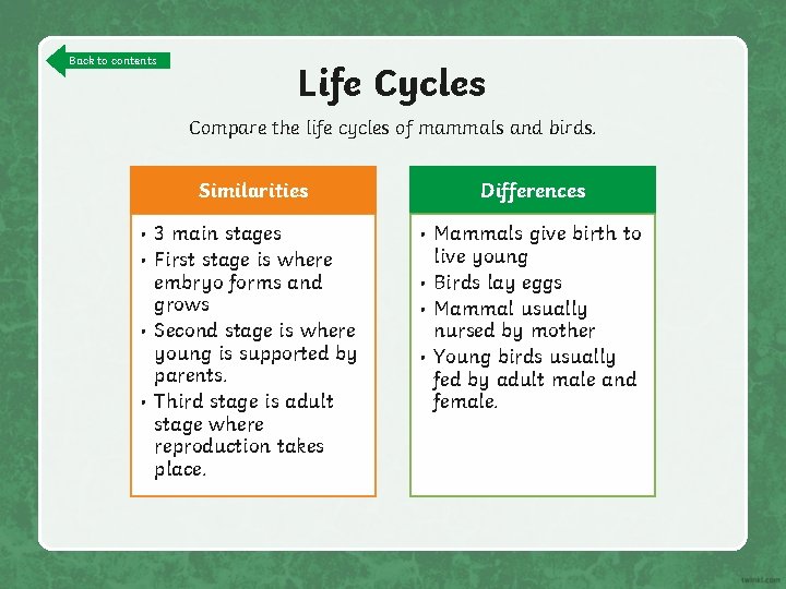 Back to contents Life Cycles Compare the life cycles of mammals and birds. Similarities