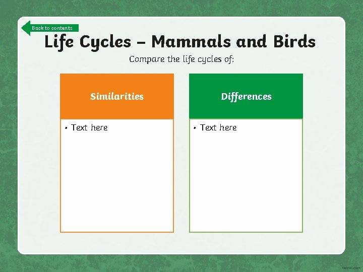 Back to contents Life Cycles – Mammals and Birds Compare the life cycles of: