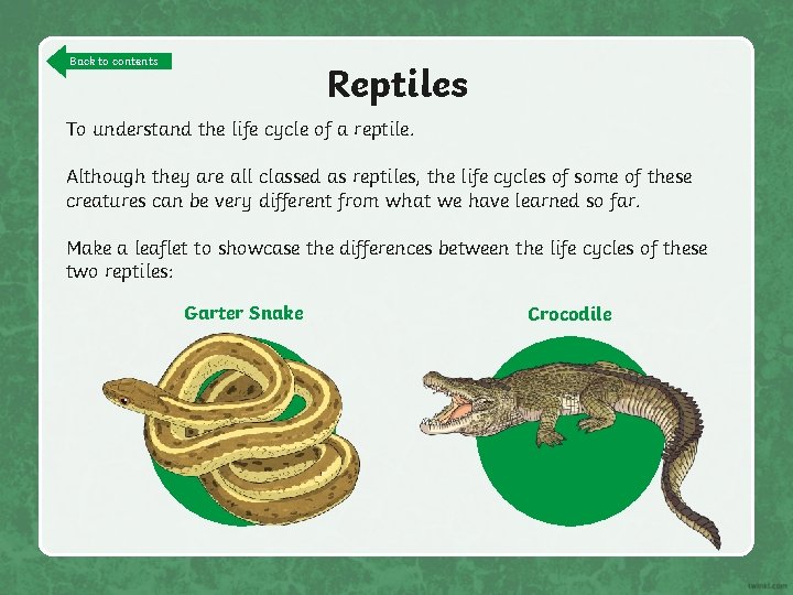 Back to contents Reptiles To understand the life cycle of a reptile. Although they