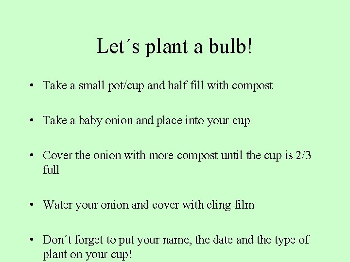 Let´s plant a bulb! • Take a small pot/cup and half fill with compost