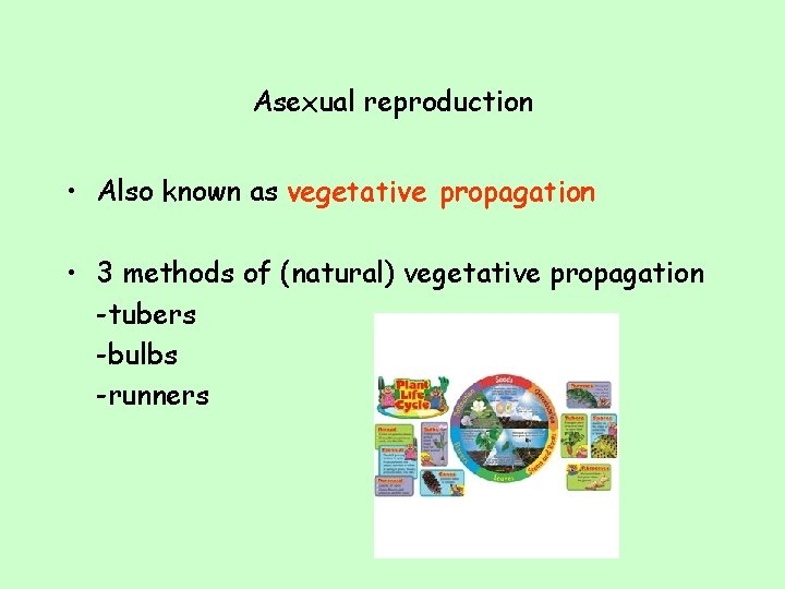 Asexual reproduction • Also known as vegetative propagation • 3 methods of (natural) vegetative