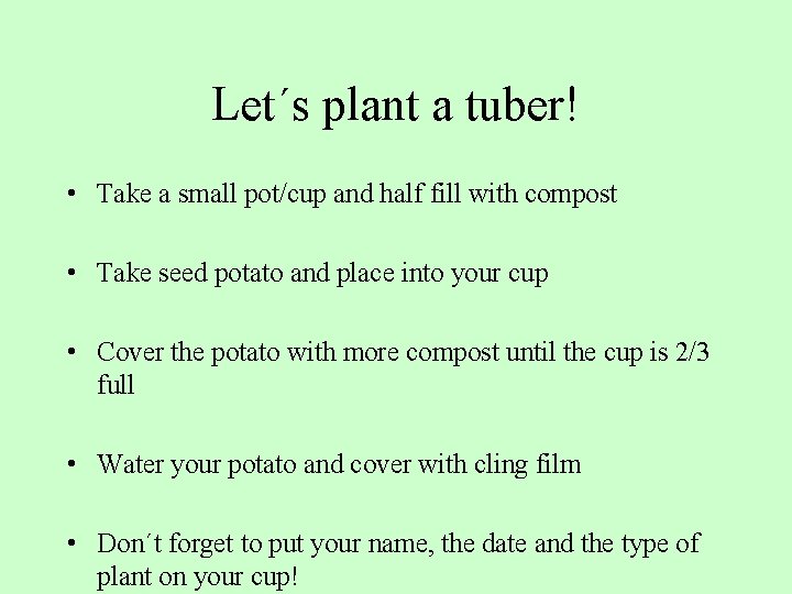 Let´s plant a tuber! • Take a small pot/cup and half fill with compost